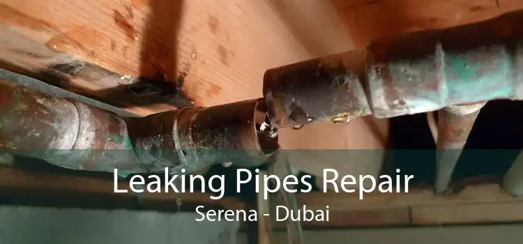 Leaking Pipes Repair Serena - Dubai