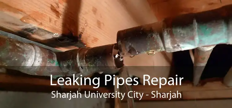 Leaking Pipes Repair Sharjah University City - Sharjah
