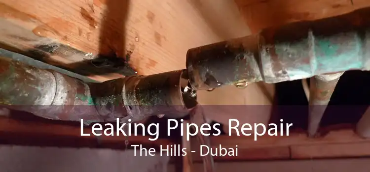 Leaking Pipes Repair The Hills - Dubai