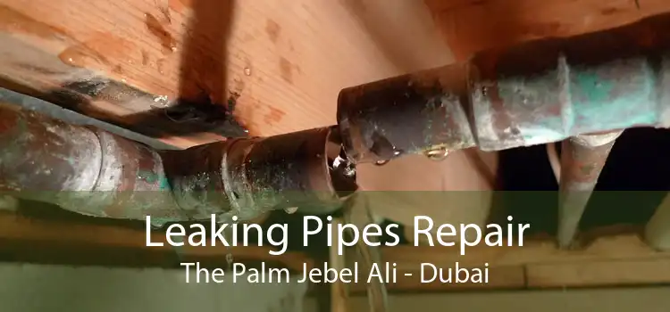 Leaking Pipes Repair The Palm Jebel Ali - Dubai