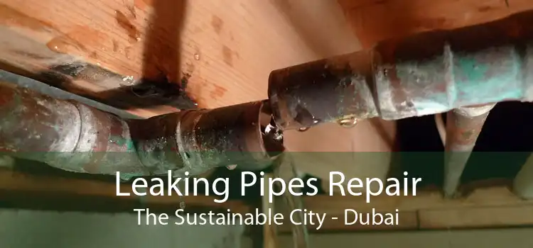 Leaking Pipes Repair The Sustainable City - Dubai