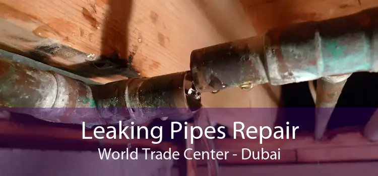 Leaking Pipes Repair World Trade Center - Dubai
