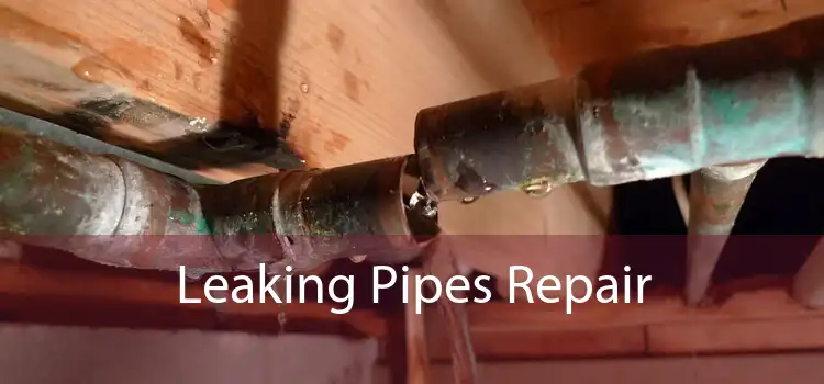 Leaking Pipes Repair 