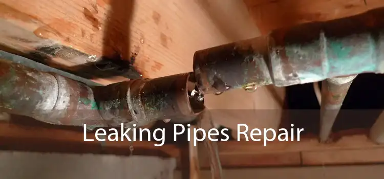 Leaking Pipes Repair 