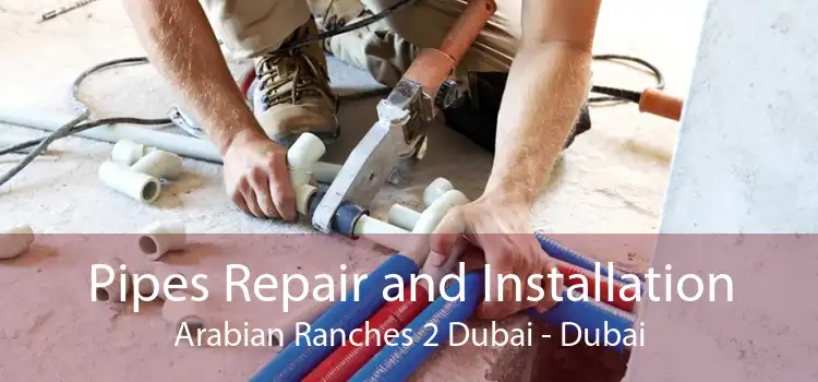 Pipes Repair and Installation Arabian Ranches 2 Dubai - Dubai