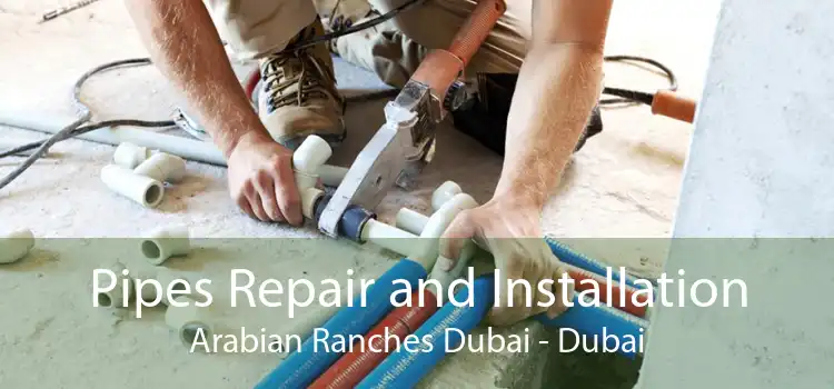 Pipes Repair and Installation Arabian Ranches Dubai - Dubai