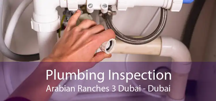 Plumbing Inspection Arabian Ranches 3 Dubai - Dubai