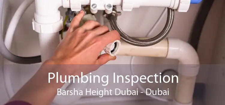 Plumbing Inspection Barsha Height Dubai - Dubai