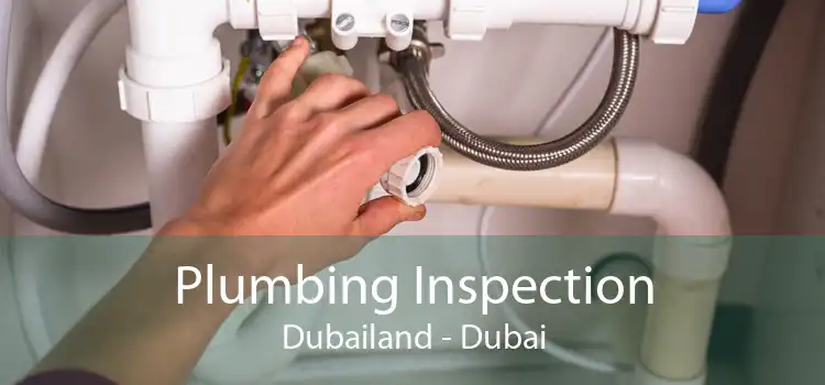 Plumbing Inspection Dubailand - Dubai