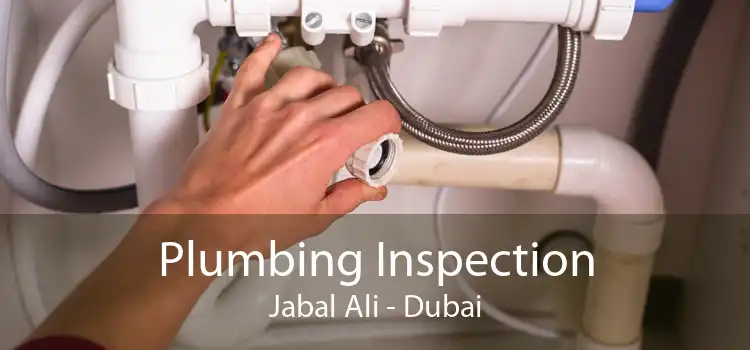 Plumbing Inspection Jabal Ali - Dubai