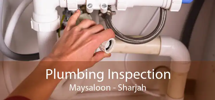 Plumbing Inspection Maysaloon - Sharjah