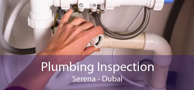Plumbing Inspection Serena - Dubai