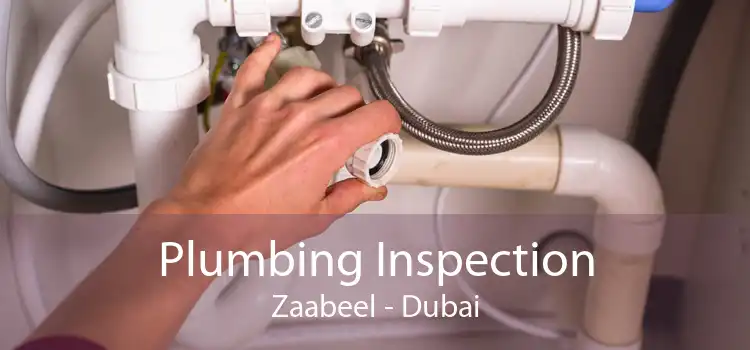 Plumbing Inspection Zaabeel - Dubai