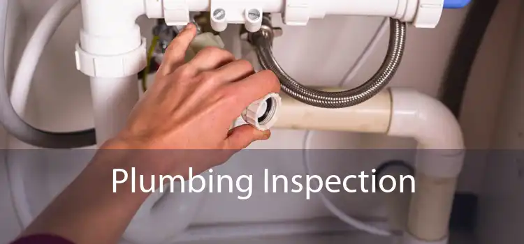 Plumbing Inspection 