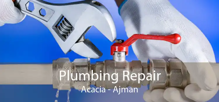 Plumbing Repair Acacia - Ajman