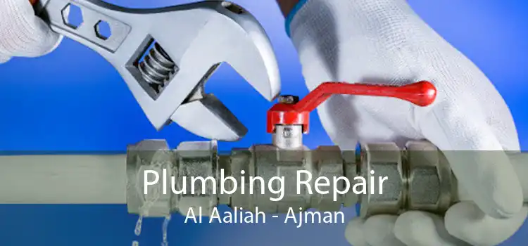 Plumbing Repair Al Aaliah - Ajman