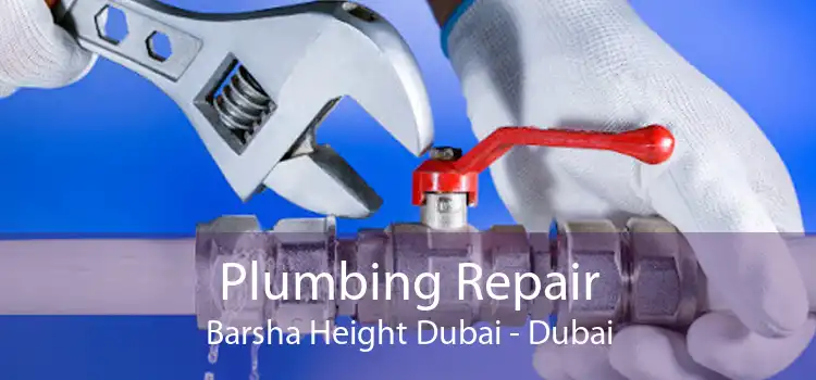 Plumbing Repair Barsha Height Dubai - Dubai