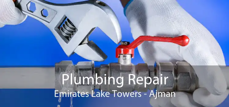 Plumbing Repair Emirates Lake Towers - Ajman
