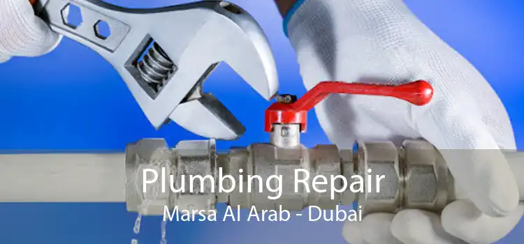 Plumbing Repair Marsa Al Arab - Dubai