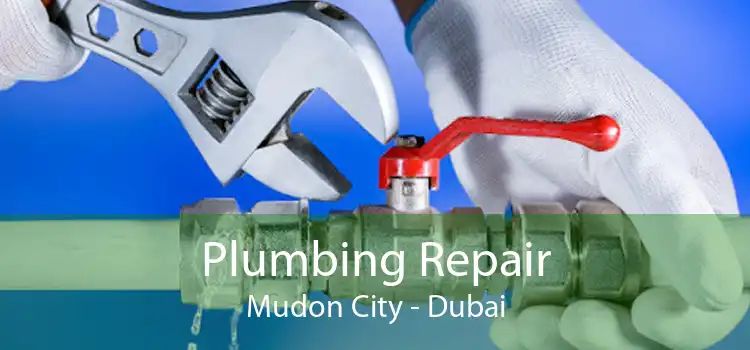 Plumbing Repair Mudon City - Dubai