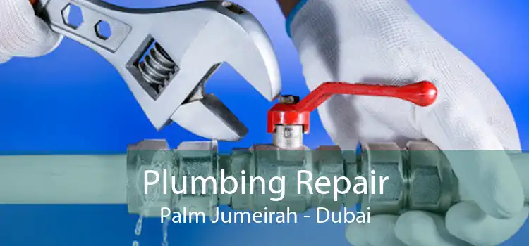 Plumbing Repair Palm Jumeirah - Dubai