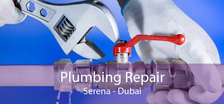 Plumbing Repair Serena - Dubai