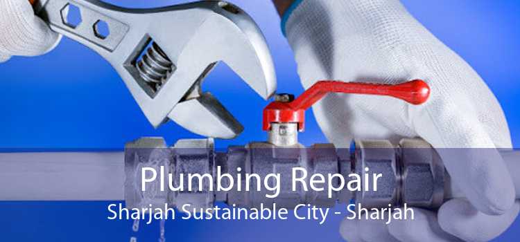 Plumbing Repair Sharjah Sustainable City - Sharjah