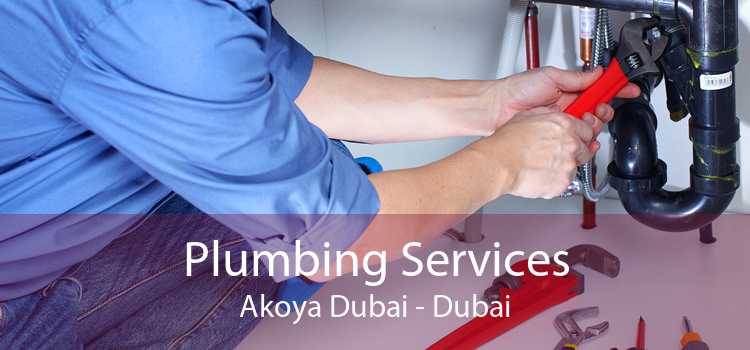 Plumbing Services Akoya Dubai - Dubai