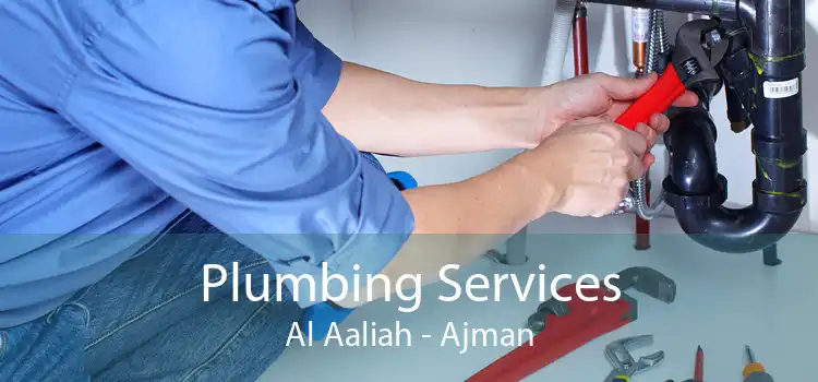 Plumbing Services Al Aaliah - Ajman