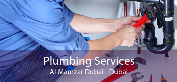 Plumbing Services Al Mamzar Dubai - Dubai
