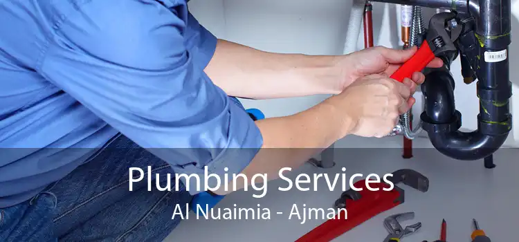 Plumbing Services Al Nuaimia - Ajman