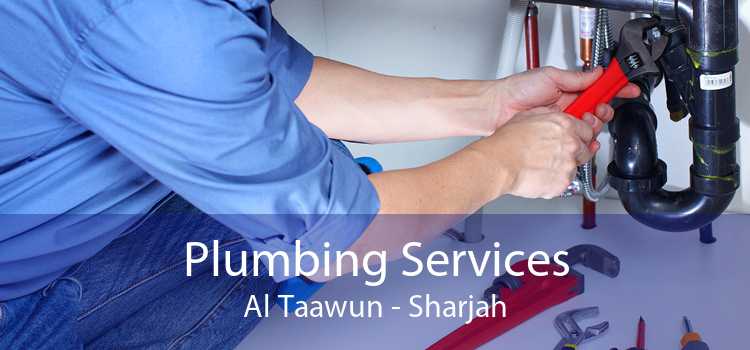 Plumbing Services Al Taawun - Sharjah