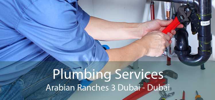 Plumbing Services Arabian Ranches 3 Dubai - Dubai