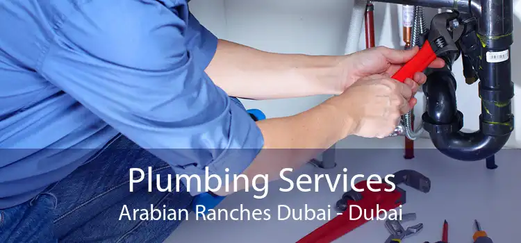 Plumbing Services Arabian Ranches Dubai - Dubai
