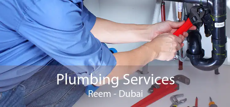 Plumbing Services Reem - Dubai