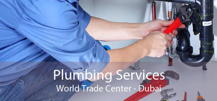 Plumbing Services World Trade Center - Dubai