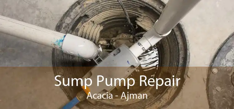 Sump Pump Repair Acacia - Ajman