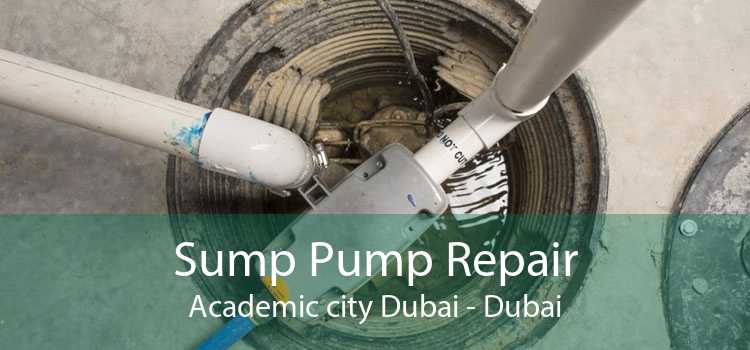 Sump Pump Repair Academic city Dubai - Dubai