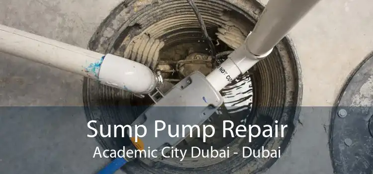 Sump Pump Repair Academic City Dubai - Dubai