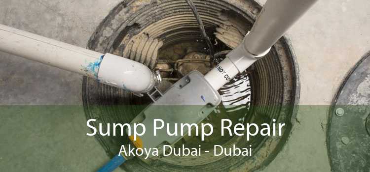 Sump Pump Repair Akoya Dubai - Dubai
