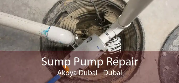 Sump Pump Repair Akoya Dubai - Dubai