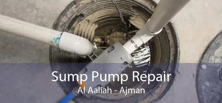Sump Pump Repair Al Aaliah - Ajman