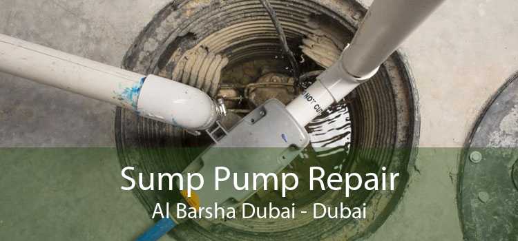 Sump Pump Repair Al Barsha Dubai - Dubai