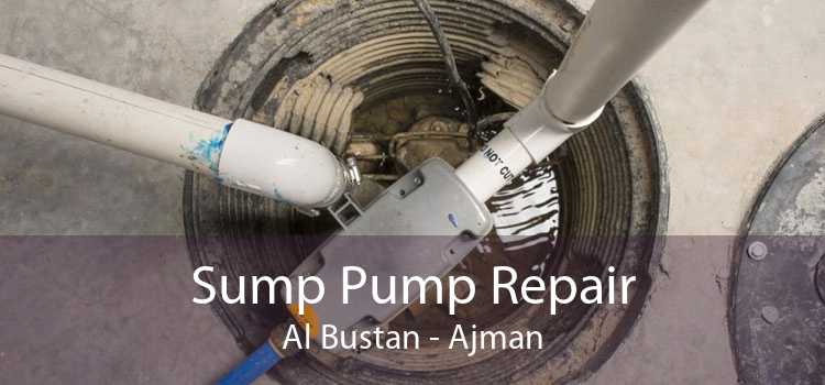 Sump Pump Repair Al Bustan - Ajman