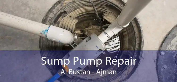 Sump Pump Repair Al Bustan - Ajman
