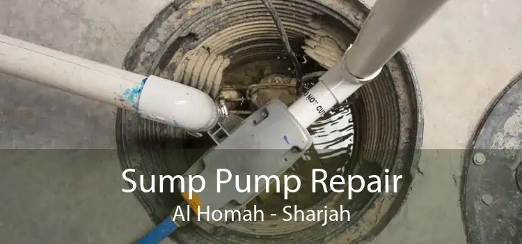 Sump Pump Repair Al Homah - Sharjah