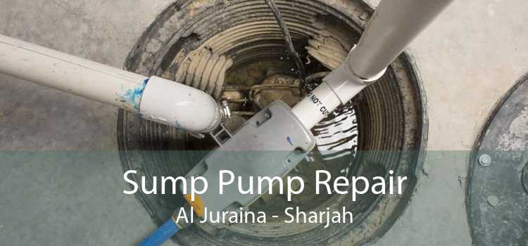 Sump Pump Repair Al Juraina - Sharjah