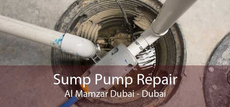 Sump Pump Repair Al Mamzar Dubai - Dubai