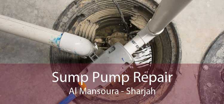 Sump Pump Repair Al Mansoura - Sharjah