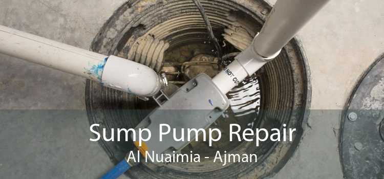 Sump Pump Repair Al Nuaimia - Ajman